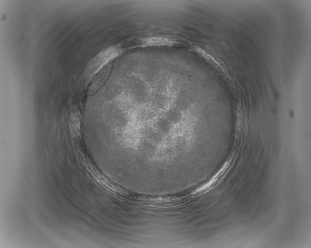 X0000067951401200604171423