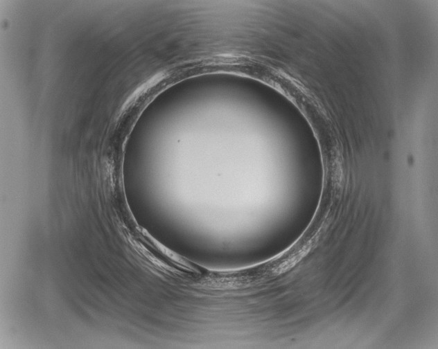 X0000067951402200604171423