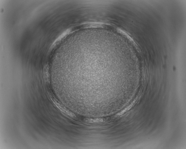 X0000067951403200604171423