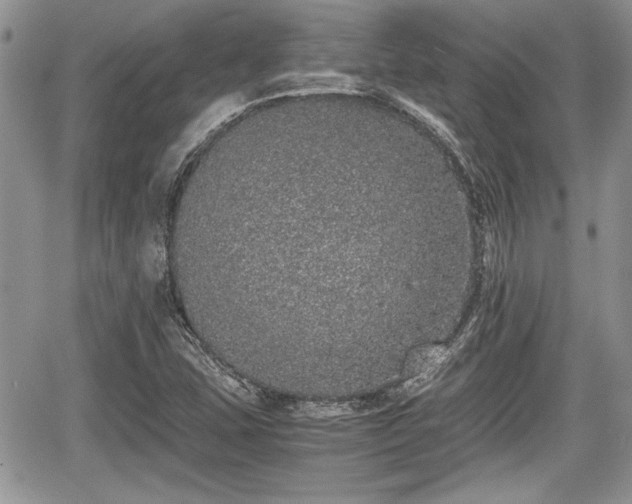 X0000067951407200604171424