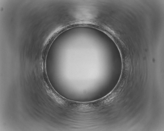 X0000067951408200604171424