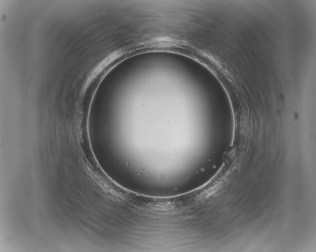 X0000067951410200604171424