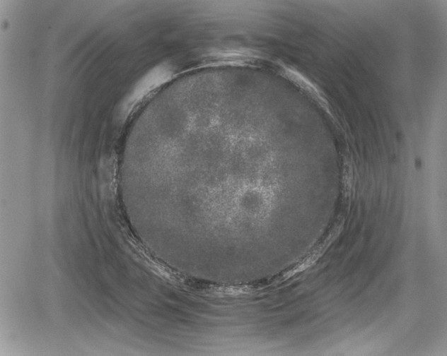 X0000067951411200604171424