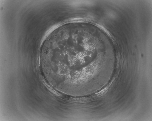 X0000067951413200604171424