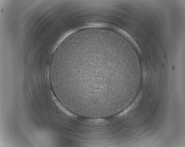 X0000067951417200604171424