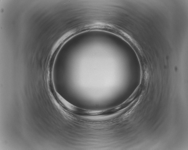 X0000067951418200604171424