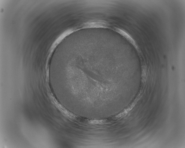 X0000067951419200604171424