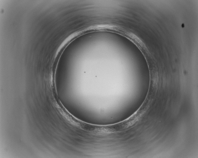 X0000067951420200604171424