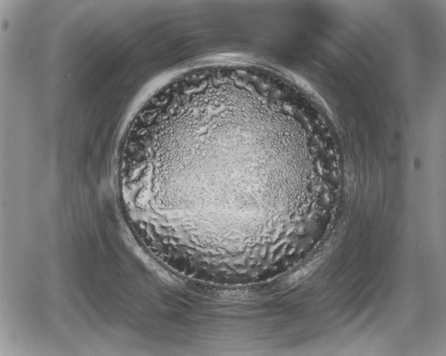 X0000067951421200604171424