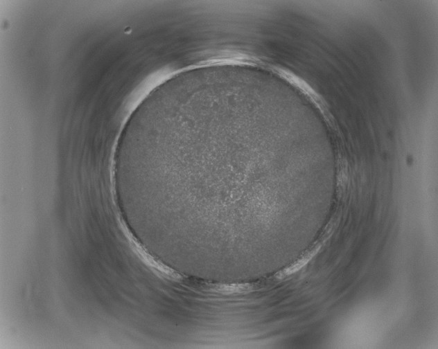 X0000067951423200604171424