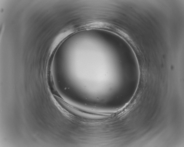 X0000067951426200604171424