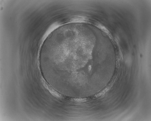 X0000067951427200604171424