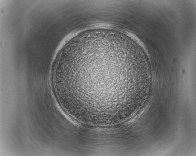 X0000067951429200604171424