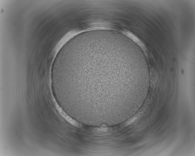 X0000067951431200604171424