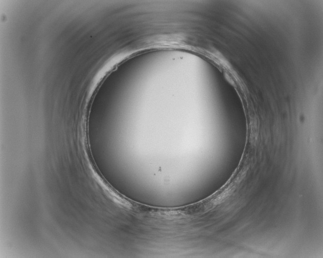 X0000067951432200604171424