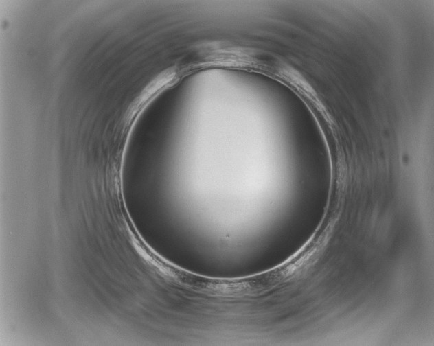 X0000067951433200604171424