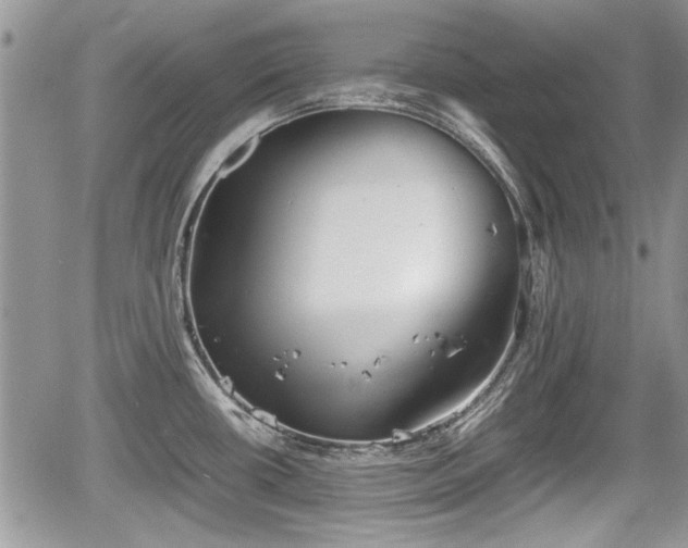 X0000067951434200604171424