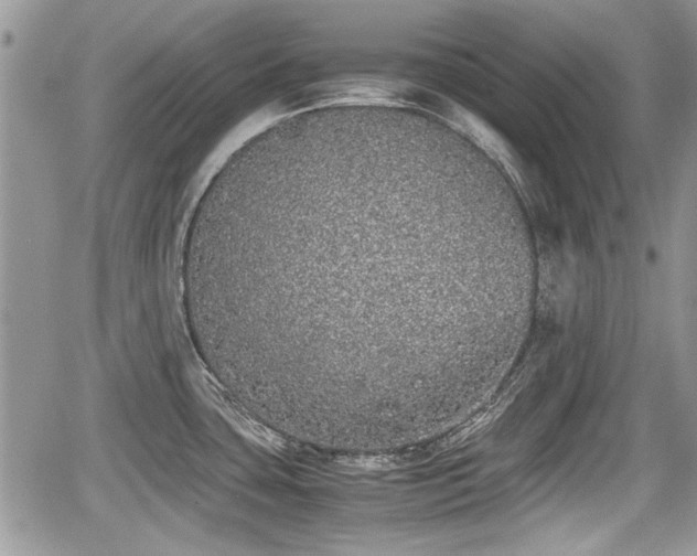 X0000067951435200604171424