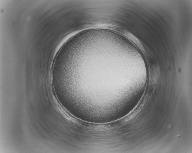 X0000067951436200604171424