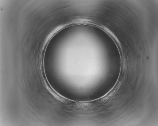 X0000067951437200604171424