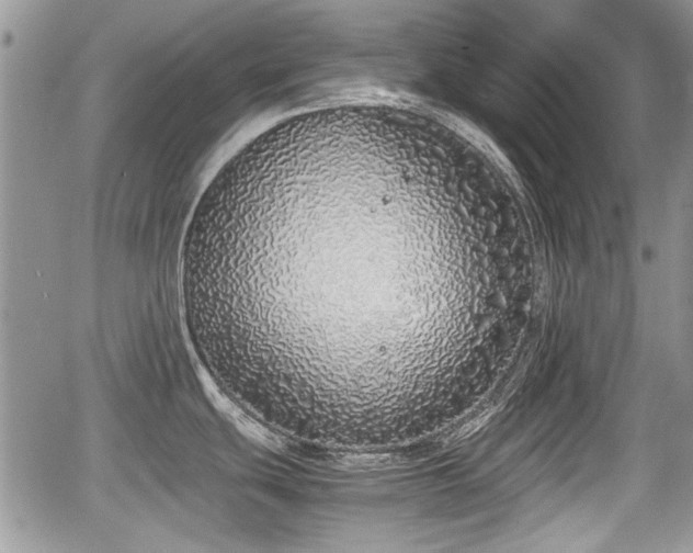 X0000067951439200604171424