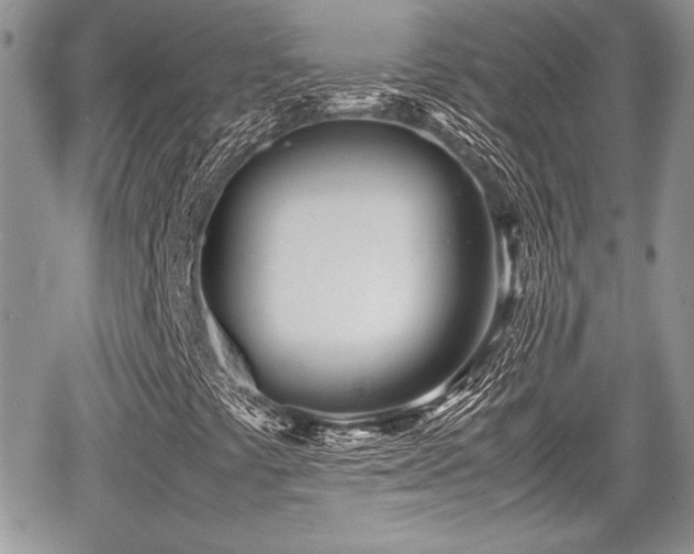 X0000067951441200604171423