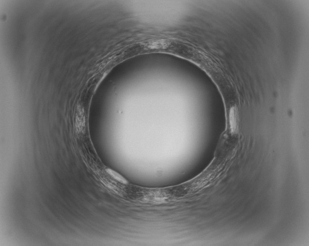 X0000067951443200604171423