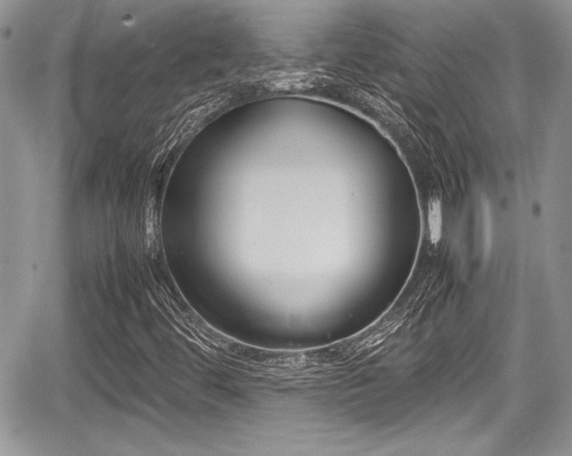 X0000067951444200604171423