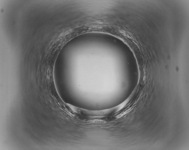 X0000067951445200604171423