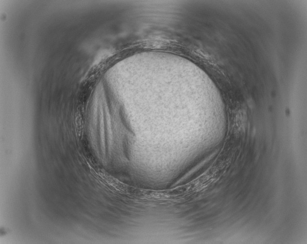 X0000067951446200604171423