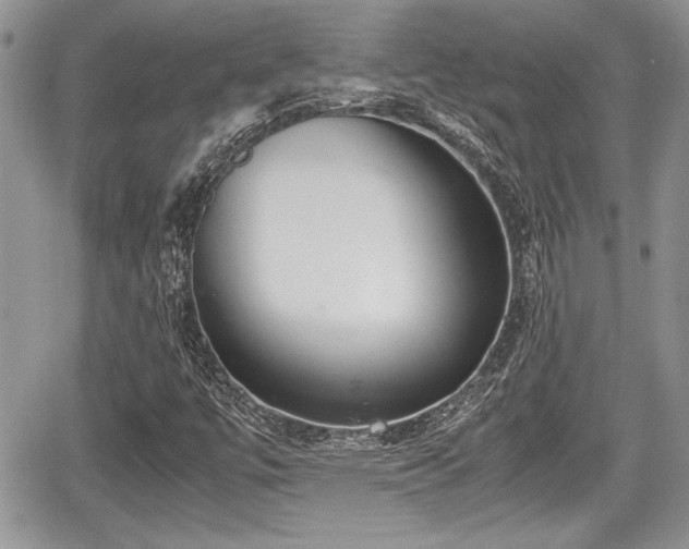 X0000067951447200604171423