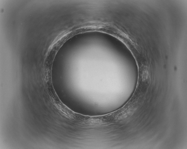 X0000067951448200604171423