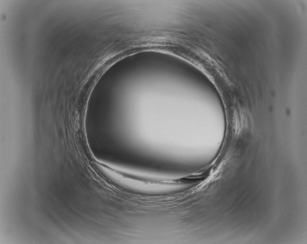 X0000067951449200604171423