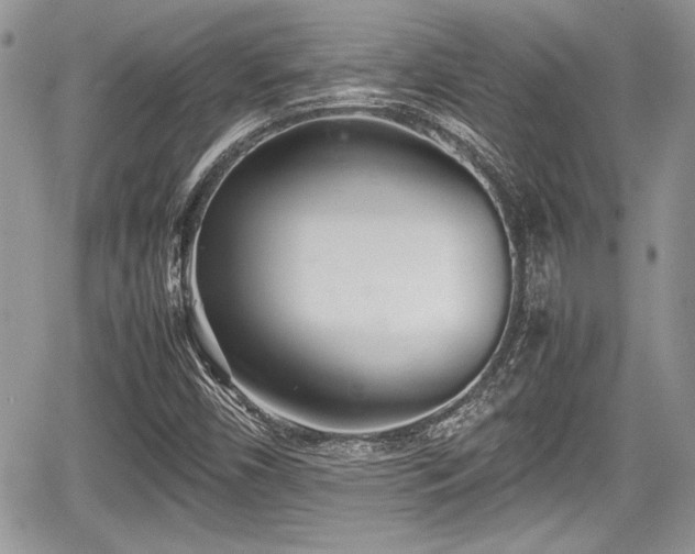 X0000067951450200604171423