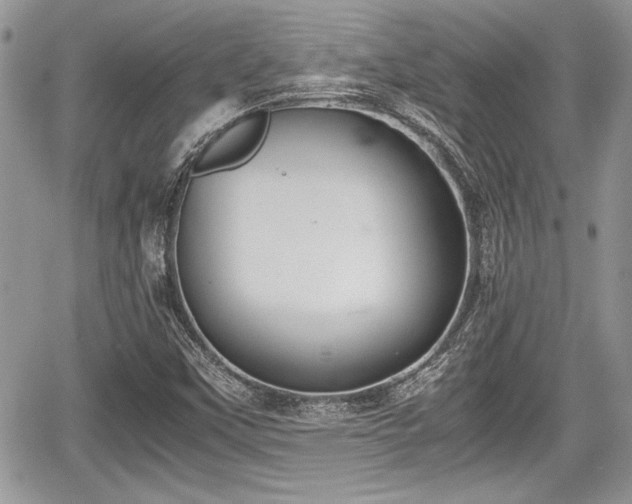 X0000067951451200604171423