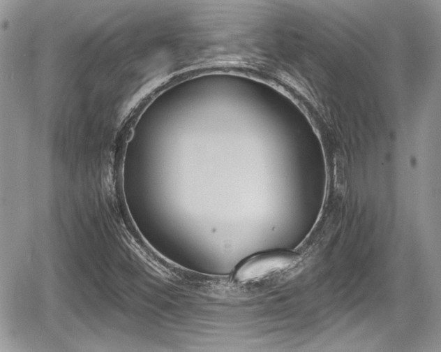 X0000067951452200604171423