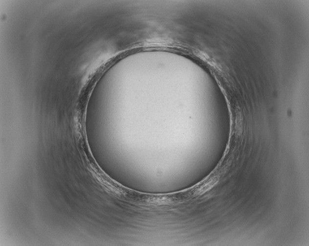 X0000067951454200604171423