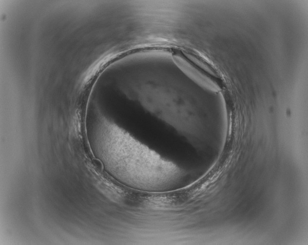 X0000067951455200604171423