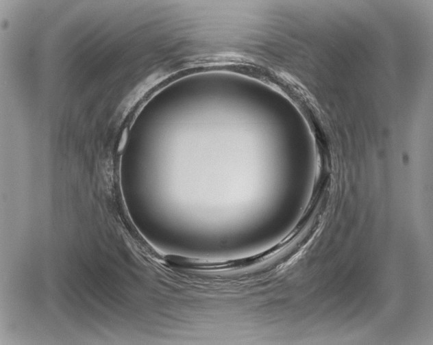 X0000067951457200604171423