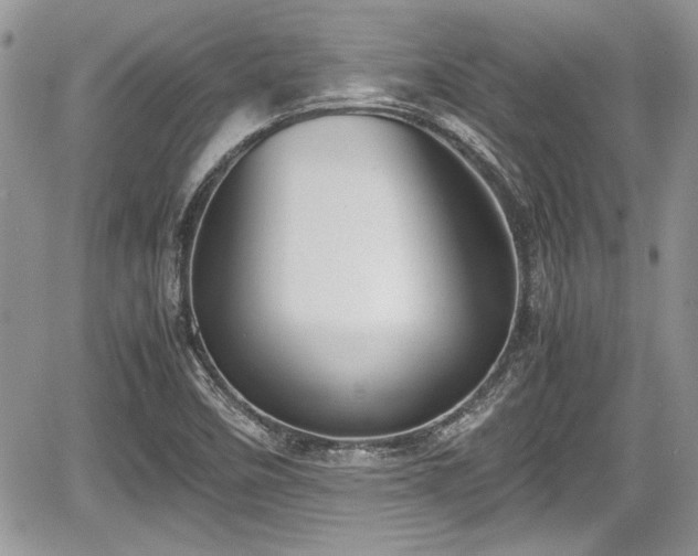 X0000067951458200604171423