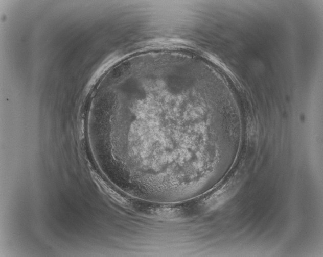 X0000067951459200604171423