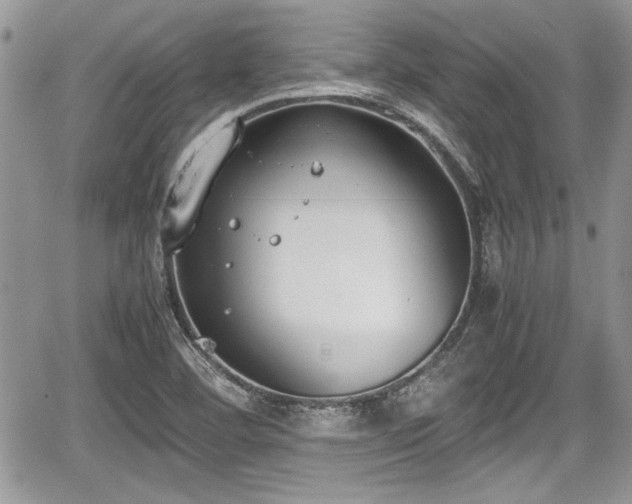 X0000067951460200604171423