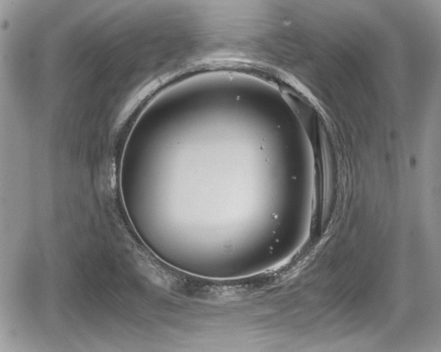 X0000067951461200604171423