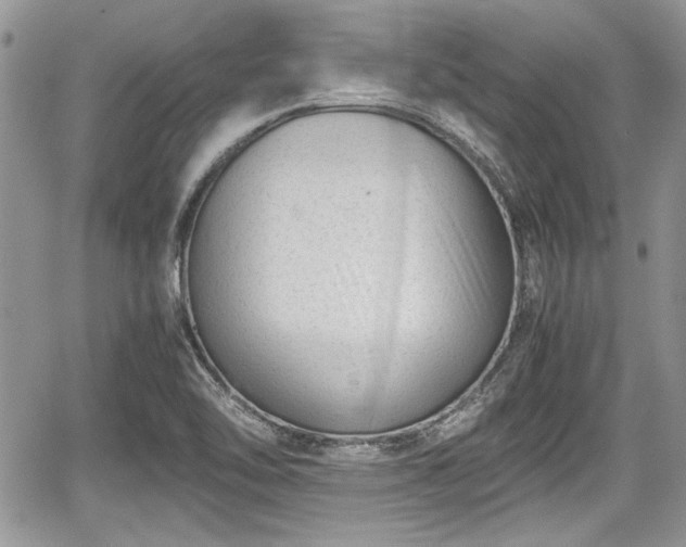 X0000067951462200604171423