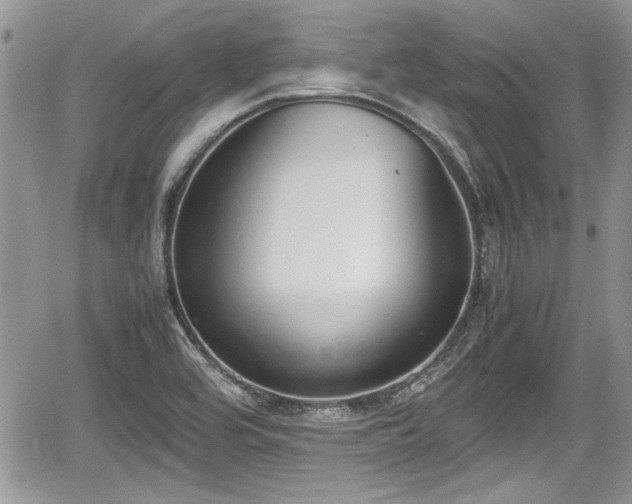 X0000067951464200604171423