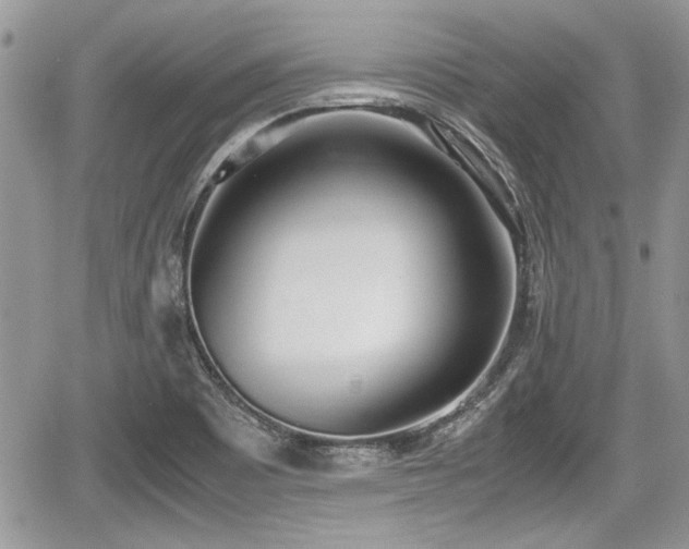 X0000067951465200604171423