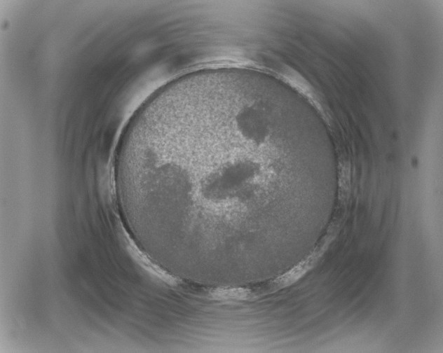 X0000067951466200604171423