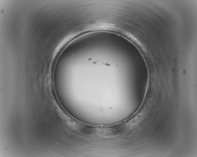 X0000067951469200604171423