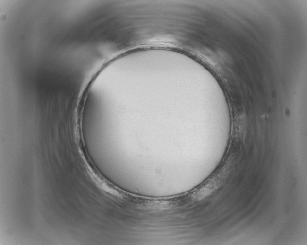 X0000067951470200604171423