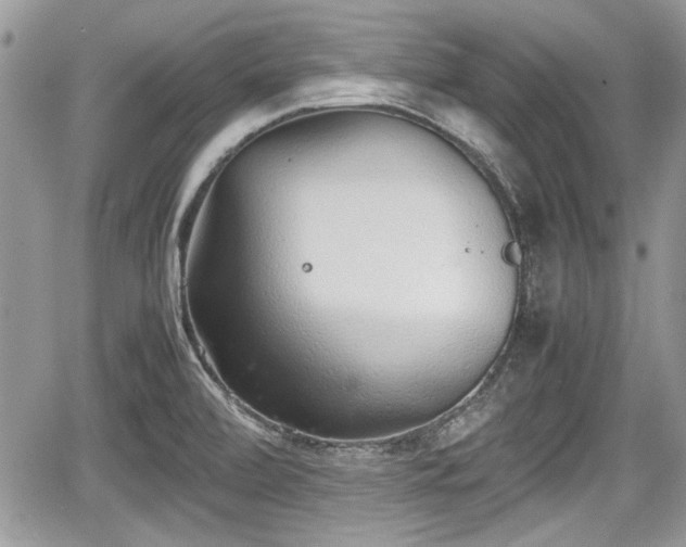 X0000067951472200604171423